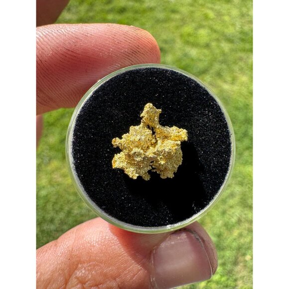 California Native Gold Crystal - 1.32 grams - Picture 4 of 7